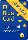 EU Blue Card Network Button